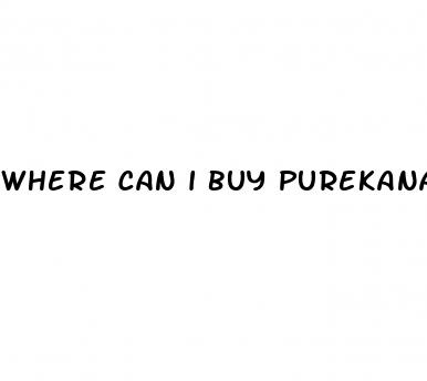 where can i buy purekana cbd gummies