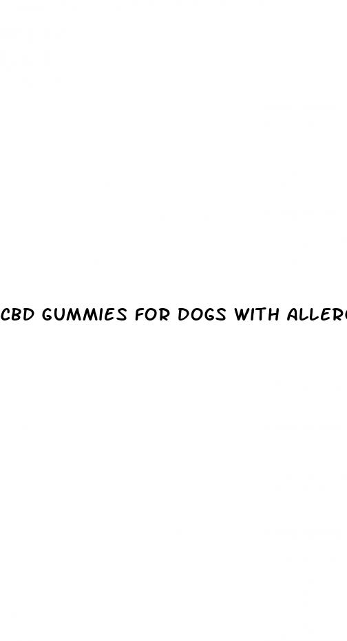 cbd gummies for dogs with allergies