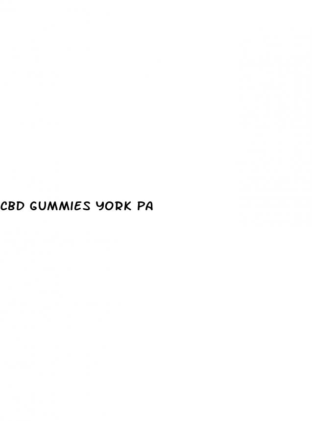 cbd gummies york pa