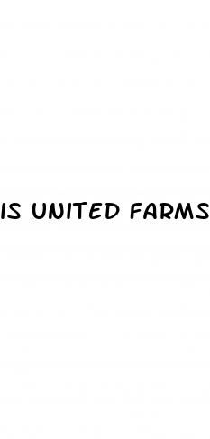 is united farms cbd gummies legit