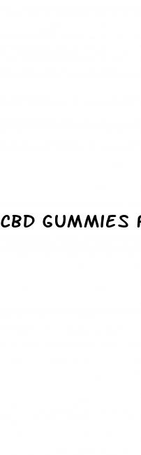 cbd gummies for dogs