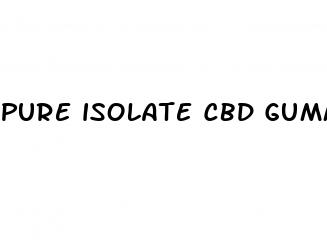 pure isolate cbd gummies