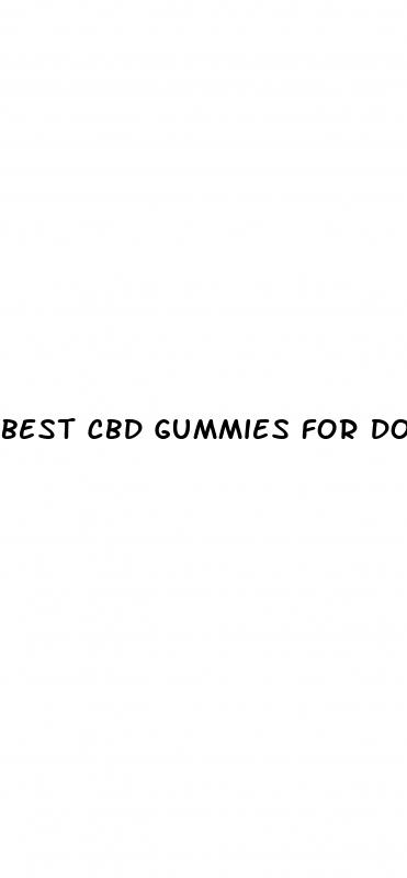 best cbd gummies for dogs with anxiety