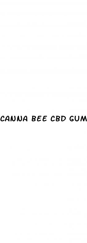 canna bee cbd gummies review