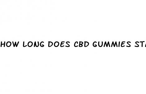 how long does cbd gummies stay in your blood