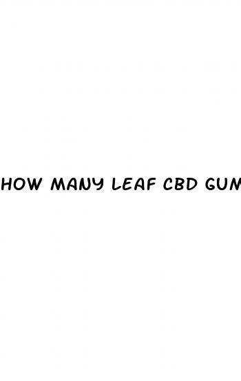 how many leaf cbd gummies