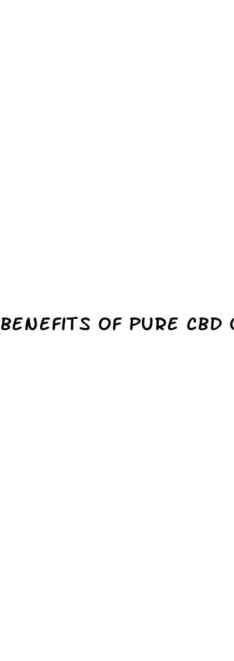 benefits of pure cbd gummies