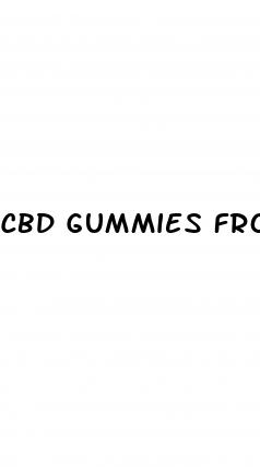 cbd gummies from isolate