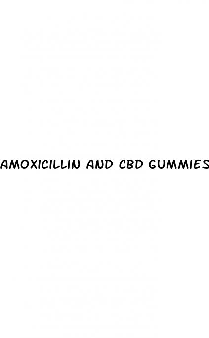 amoxicillin and cbd gummies