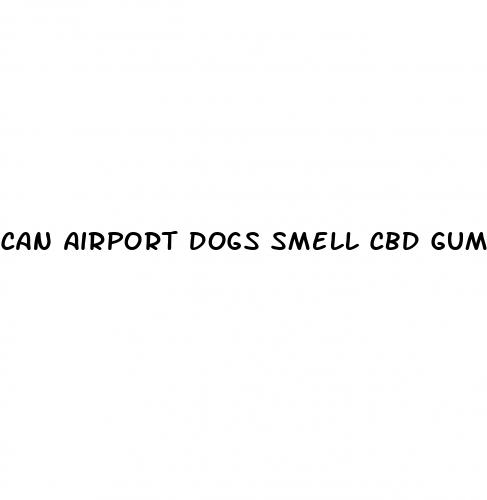 can airport dogs smell cbd gummies