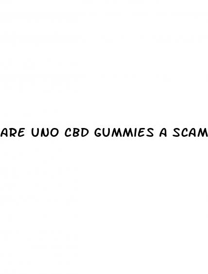 are uno cbd gummies a scam