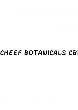 cheef botanicals cbd gummies reviews