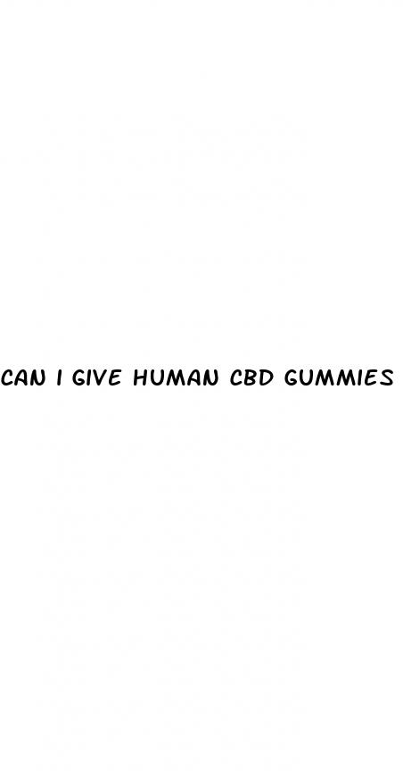 can i give human cbd gummies to my dog