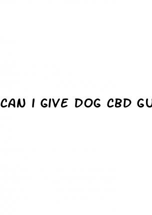can i give dog cbd gummies