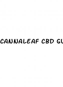cannaleaf cbd gummies