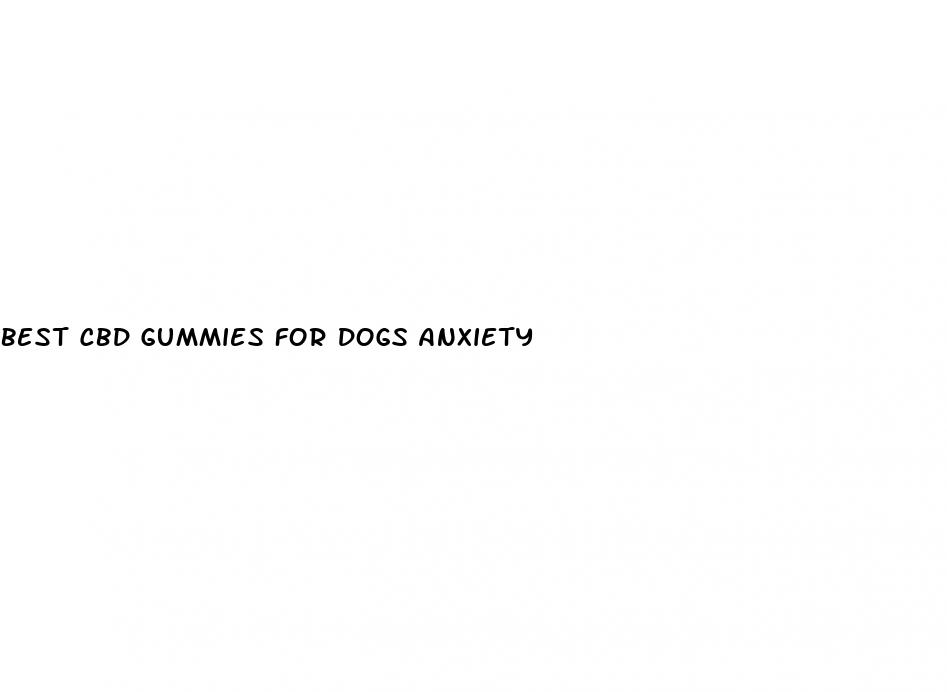 best cbd gummies for dogs anxiety