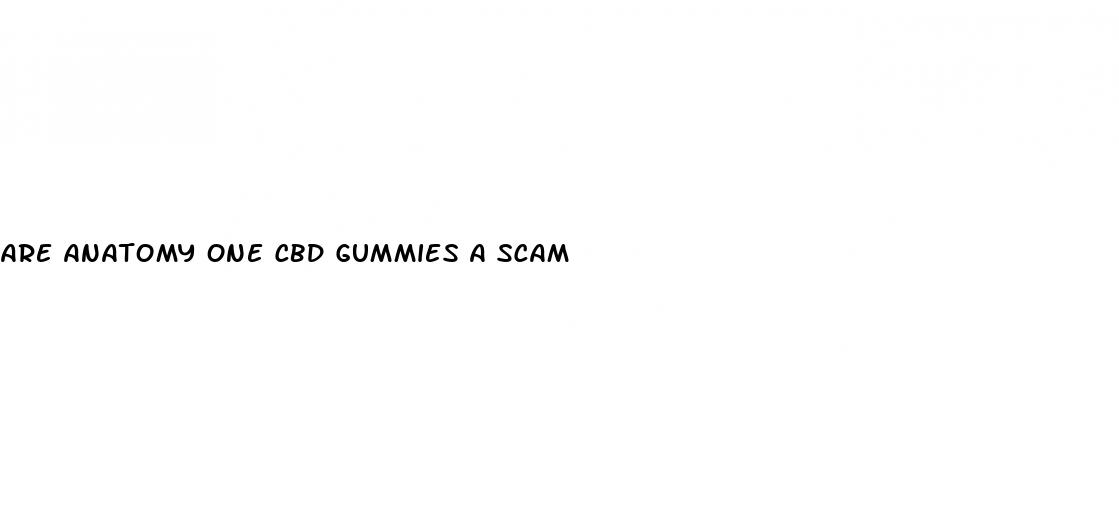 are anatomy one cbd gummies a scam