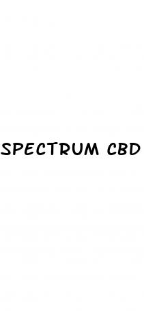 spectrum cbd gummies for pennis growth