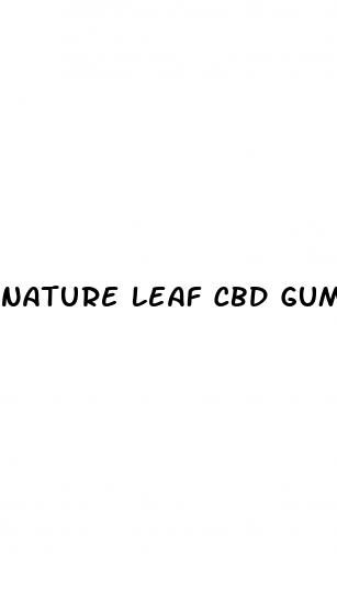 nature leaf cbd gummies