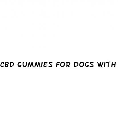 cbd gummies for dogs with separation anxiety