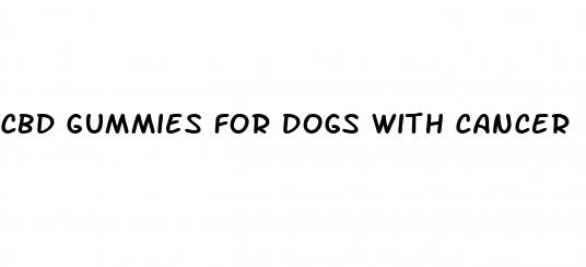 cbd gummies for dogs with cancer