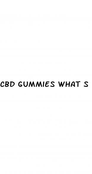 cbd gummies what s in it