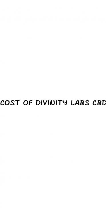 cost of divinity labs cbd gummies