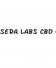 sera labs cbd gummies ingredients