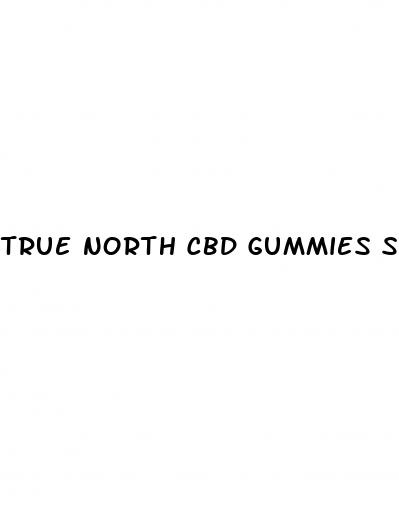true north cbd gummies scam