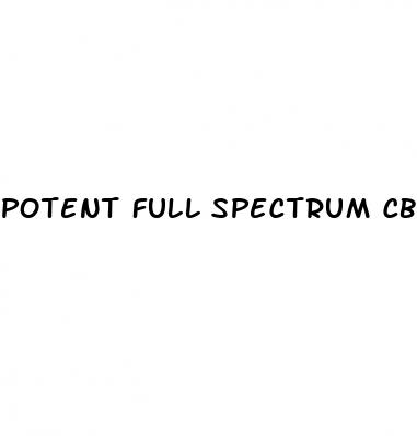 potent full spectrum cbd gummies