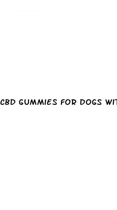cbd gummies for dogs with joint pain