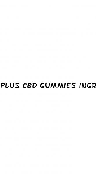 plus cbd gummies ingredients