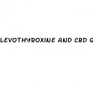 levothyroxine and cbd gummies