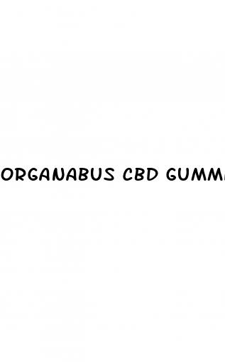 organabus cbd gummies order