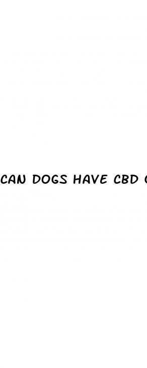 can dogs have cbd gummies for anxiety