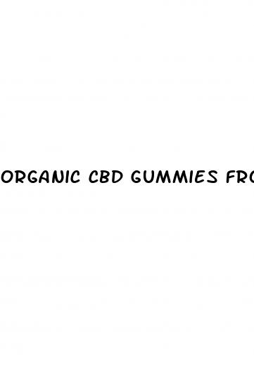 organic cbd gummies from kangaroo cbd