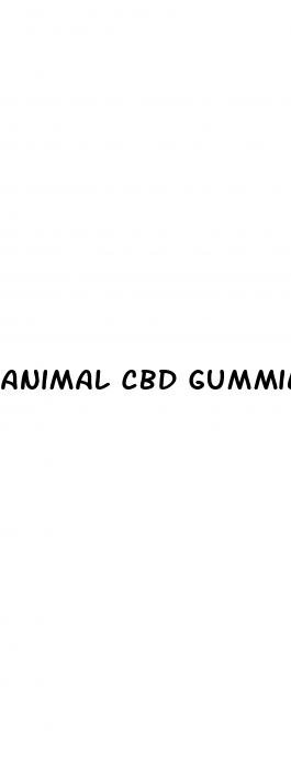 animal cbd gummies male enhancement