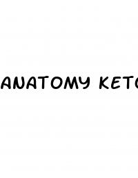 anatomy keto acv gummies