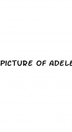picture of adeles weight loss