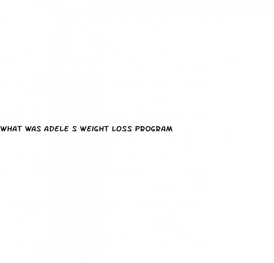 what was adele s weight loss program