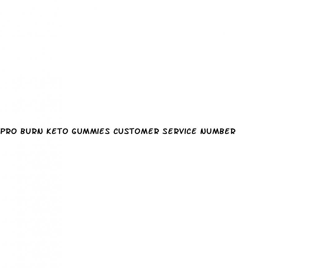 pro burn keto gummies customer service number
