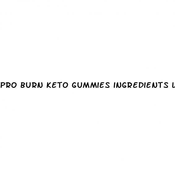 pro burn keto gummies ingredients list