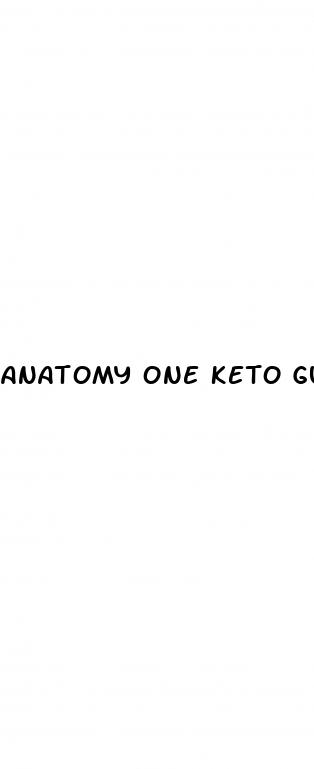 anatomy one keto gummies reviews