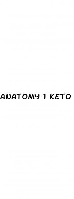 anatomy 1 keto gummies