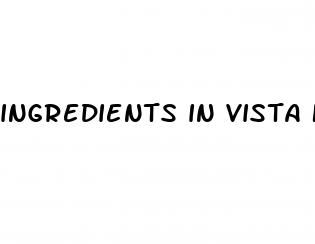 ingredients in vista keto gummies