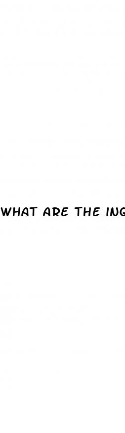 what are the ingredients in speedy keto acv gummies