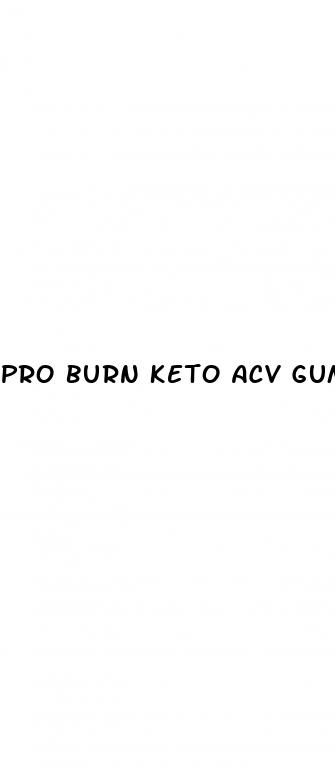 pro burn keto acv gummies ingredients list
