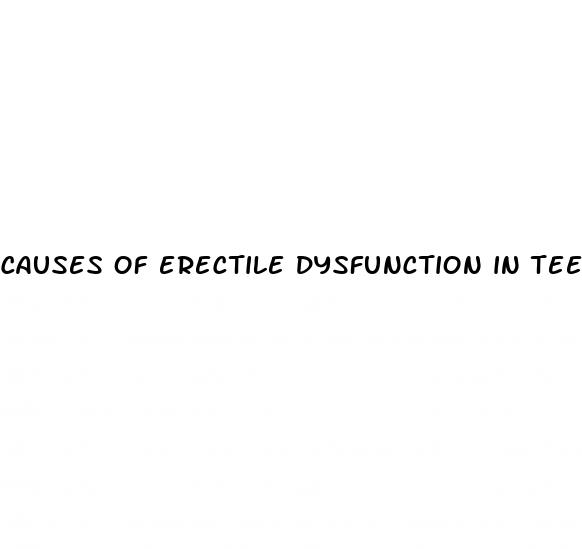 causes of erectile dysfunction in teens