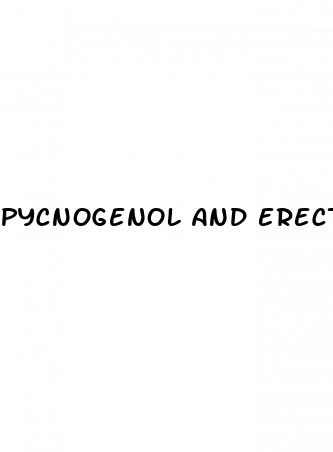 pycnogenol and erectile dysfunction