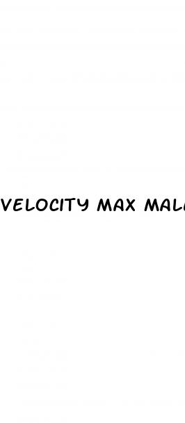 velocity max male enhancement reviews